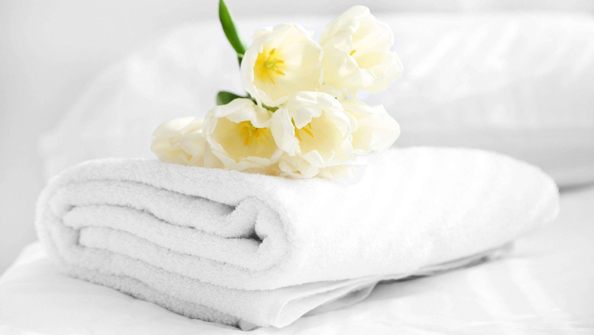 Magnuson Hotel Nashville North Goodlettsville Dış mekan fotoğraf